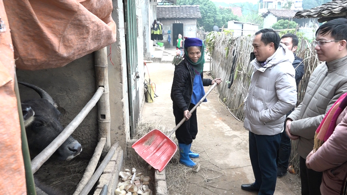 Lãnh đạo tỉnh Lạng Sơn kiểm tra công tác phòng chống đói rét cho đàn vật nuôi tại huyện Chi Lăng. Ảnh: Trang Anh.
