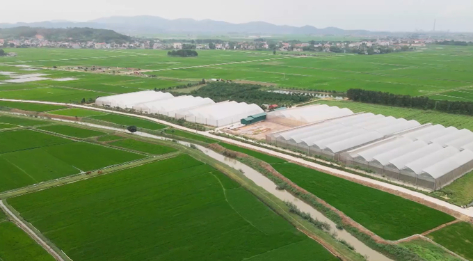 Một khu nông nghiệp CNC tại huyện Yên Dũng. Ảnh: BG.