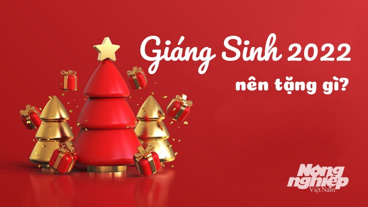 Giáng sinh 2022 nên tặng những món quà gì?