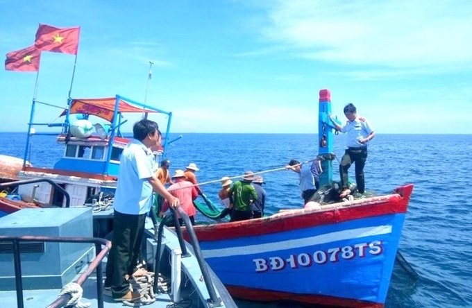 By April 2023, 100% of fishing vessel data will be updated in the National Fisheries Database (VNFishbase). Photo: TL.