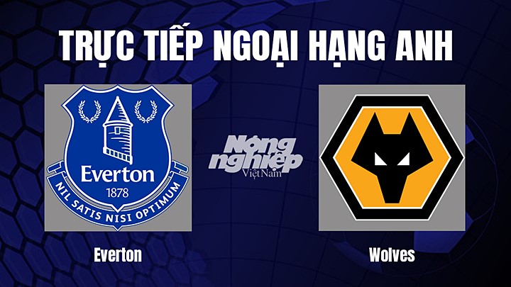 Trực tiếp bóng đá Ngoại hạng Anh giữa Everton vs Wolves hôm nay 26/12/2022