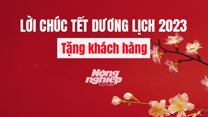 Những lời chúc Tết Dương lịch hay và ý nghĩa dành tặng khách hàng năm 2023