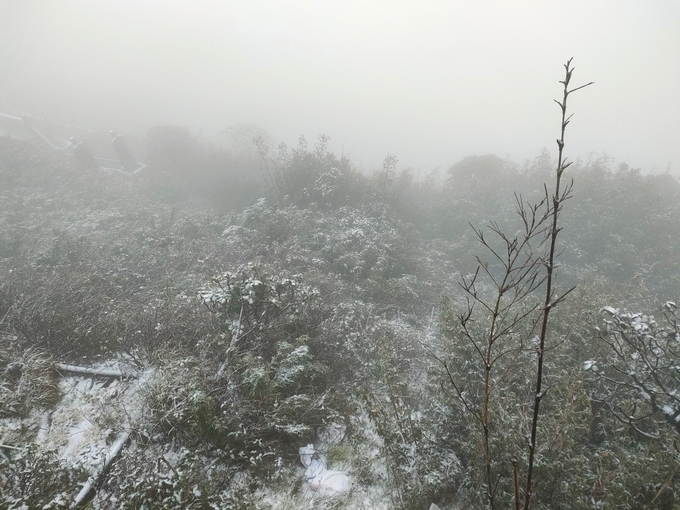 Khung cảnh mưa tuyết ở Sa Pa được ví như chốn bồng lai tiên cảnh, đẹp chẳng khác gì trời Âu.