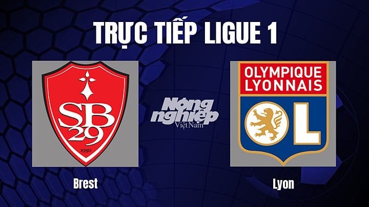 Trực tiếp bóng đá Ligue 1 (VĐQG Pháp) 2022/23 giữa Brest vs Lyon ngày 29/12/2022