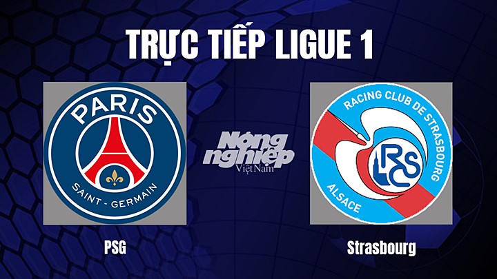 Trực tiếp bóng đá Ligue 1 (VĐQG Pháp) 2022/23 giữa PSG vs Strasbourg ngày 29/12/2022