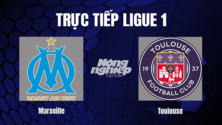 Trực tiếp bóng đá Ligue 1 (VĐQG Pháp) 2022/23 giữa Marseille vs Toulouse ngày 30/12/2022