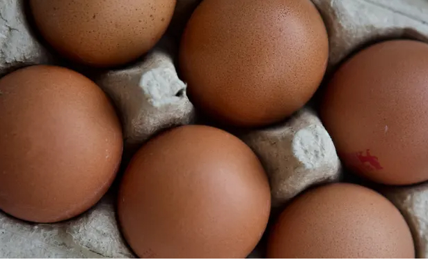 If proposed changes are adopted in the EU and followed in the UK, eggs laid by hens that have been indoors for more than 16 weeks during avian flu outbreaks could be labelled as free-range. Photo: Geoffrey Swaine/REX/Shutterstock