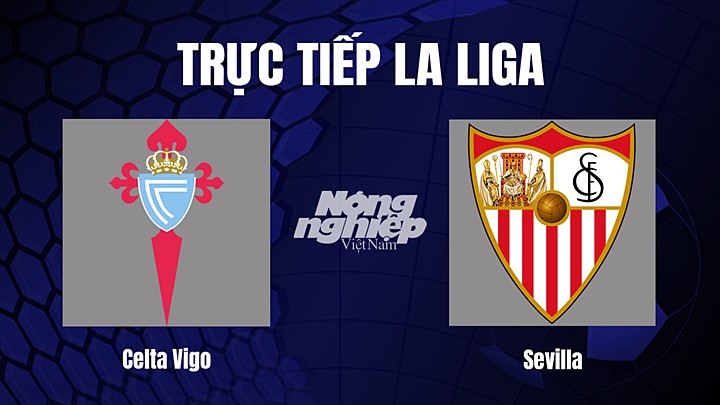 Trực tiếp bóng đá La Liga 2022/23 giữa Celta Vigo vs Sevilla ngày 31/12/2022