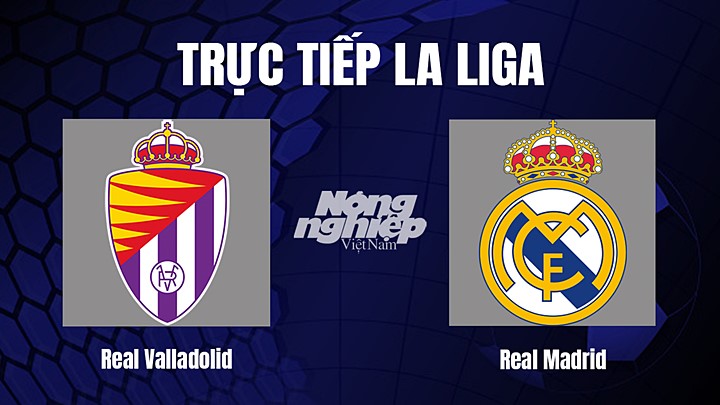 Trực tiếp bóng đá La Liga 2022/23 giữa Real Valladolid vs Real Madrid ngày 31/12/2022