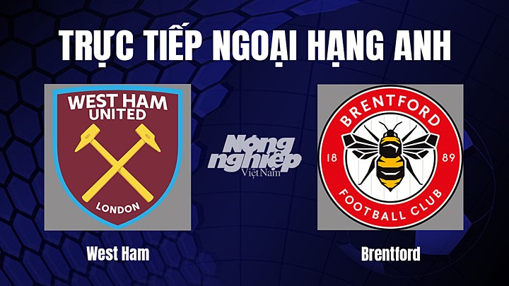 Trực tiếp bóng đá Ngoại hạng Anh giữa West Ham vs Brentford ngày 31/12/2022