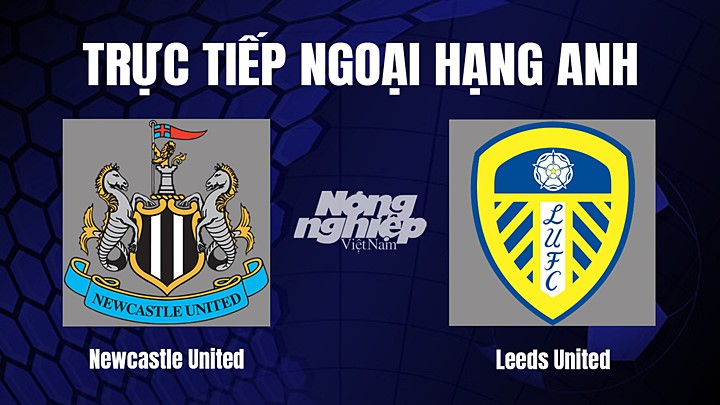 Trực Tiếp Bóng Đá Newcastle Vs Leeds United Hôm Nay 31/12