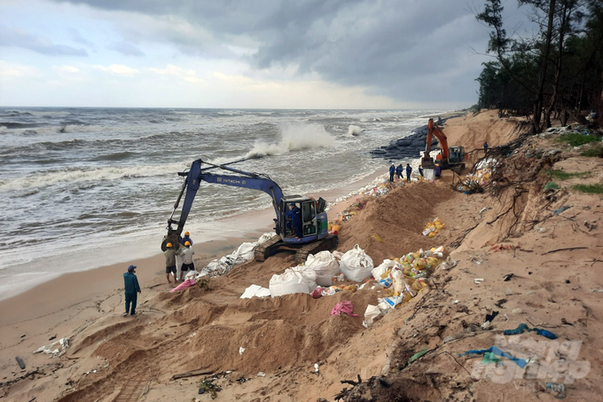 Do ảnh hưởng của mưa bão liên tục khiến nhiều kilomet chiều dài bờ biển tại Thừa Thiên - Huế tiếp tục bị sạt lở. Ảnh: CĐ.
