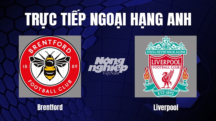 Trực tiếp bóng đá Ngoại hạng Anh giữa Brentford vs Liverpool hôm nay 3/1/2023