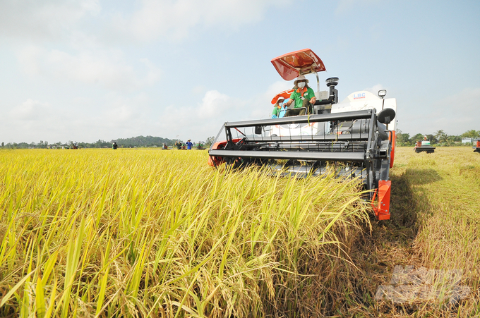 Trong thời gian qua, nông nghiệp đã tạo ra dấu ấn lớn, trong đó thay đổi tư duy từ sản xuất nông nghiệp sang kinh tế nông nghiệp. Ảnh: Lê Hoàng Vũ.