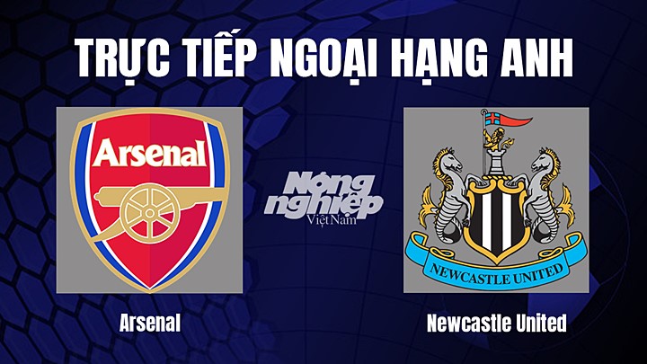 Trực tiếp bóng đá Ngoại hạng Anh giữa Arsenal vs Newcastle United ngày 4/1/2023