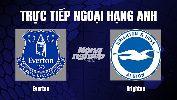 Trực tiếp bóng đá Ngoại hạng Anh giữa Everton vs Brighton ngày 4/1/2023