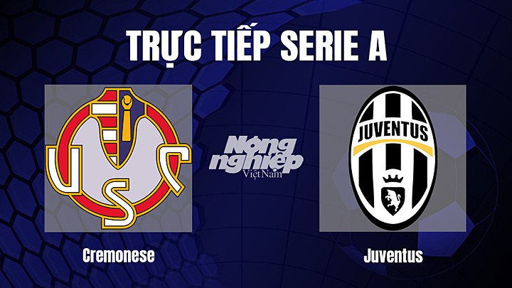 Trực tiếp bóng đá Serie A (VĐQG Italia) 2022/23 giữa Cremonese vs Juventus ngày 5/1/2023