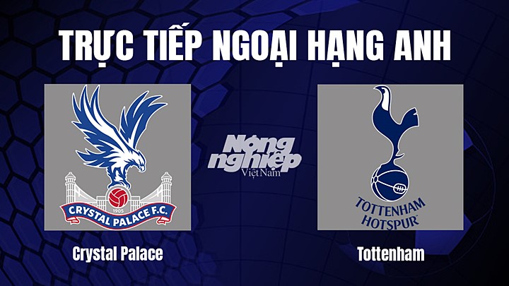 Trực tiếp bóng đá Ngoại hạng Anh giữa Crystal Palace vs Tottenham hôm nay 5/1/2023