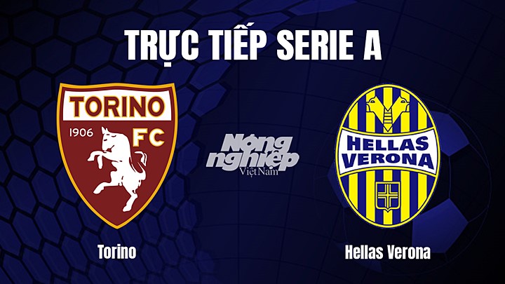 Trực tiếp bóng đá Serie A (VĐQG Italia) 2022/23 giữa Torino vs Hellas Verona hôm nay 4/1/2023