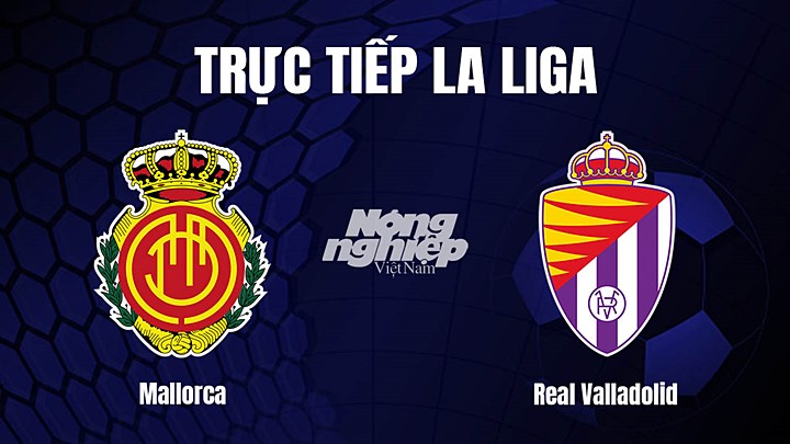 Trực tiếp bóng đá La Liga 2022/23 giữa Mallorca vs Real Valladolid ngày 8/1/2023