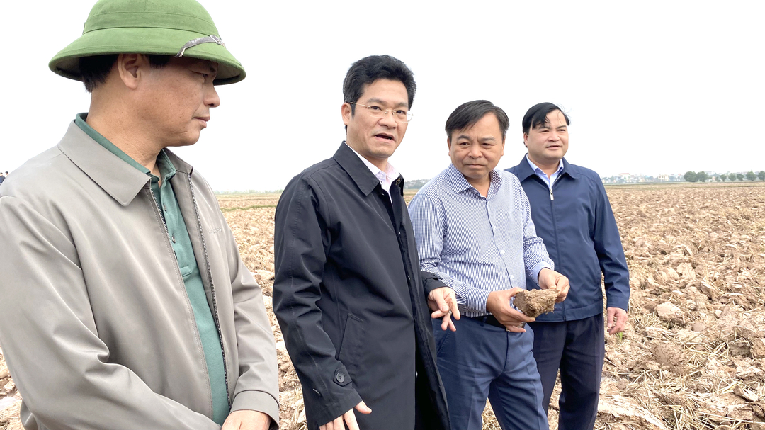 Nam Định còn hơn 60.000ha diện tích gieo cấy lúa cần cấp nước. Ảnh: Minh Phúc.