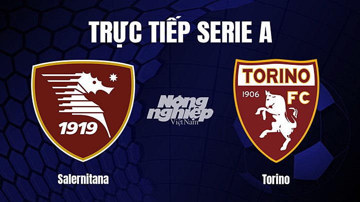 Trực tiếp bóng đá Serie A (VĐQG Italia) 2022/23 giữa Salernitana vs Torino hôm nay 8/1/2023