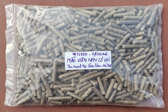 Mẫu viên nén cỏ voi VS-19 do Vietseed trồng tại Gia Lâm, Hà Nội gửi phân tích chất lượng.