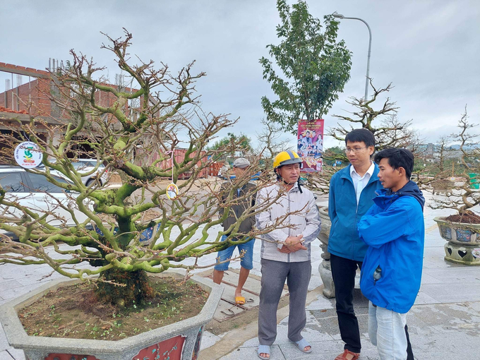 Lễ hội Mai vàng An Nhơn lần thứ I là cơ hội để các nghệ nhân trao đổi kinh nghiệm. Ảnh: V.Đ.T.