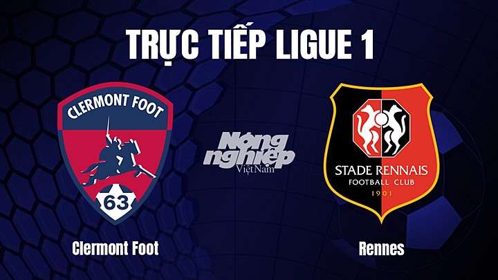 Trực tiếp bóng đá Ligue 1 (VĐQG Pháp) 2022/23 giữa Clermont vs Rennes hôm nay 12/1/2023
