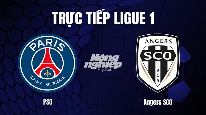 Trực tiếp bóng đá Ligue 1 (VĐQG Pháp) 2022/23 giữa PSG vs Angers SCO hôm nay 12/1/2023