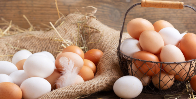 Soaring US egg prices put pressure on consumers, businesses