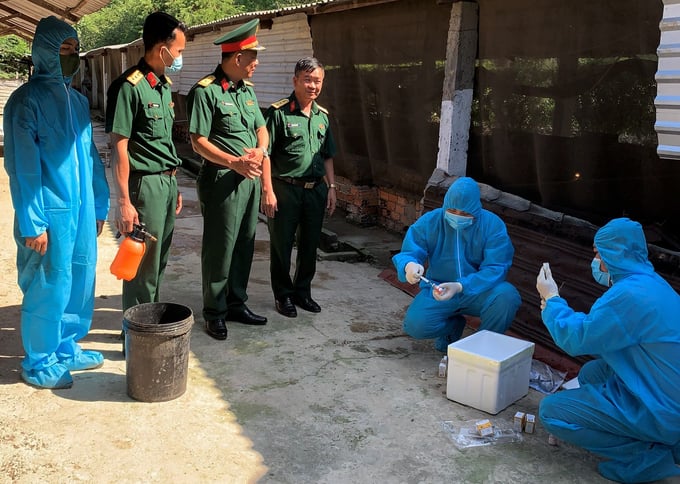 Tiến hành tiêm vacxin AVAC ASF LIVE tại một số đơn vị của Quân Khu 9 ở tỉnh An Giang, Đồng Tháp.