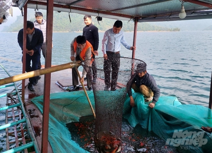 Huyện Na Hang thực hiện thả tái tạo cá giống trên khu vực lòng hồ thủy điện Tuyên Quang. Ảnh: Đào Thanh.