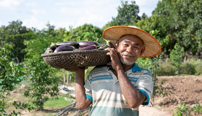 One year ago, the United Nations established the UN Food Systems Coordination Hub.