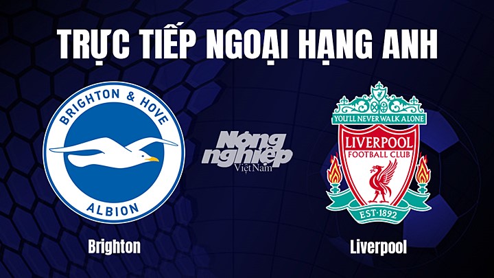 Trực tiếp bóng đá Ngoại hạng Anh giữa Brighton vs Liverpool hôm nay 14/1/2023