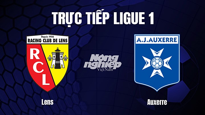 Trực tiếp bóng đá Ligue 1 (VĐQG Pháp) 2022/23 giữa Lens vs Auxerre hôm nay 14/1/2023