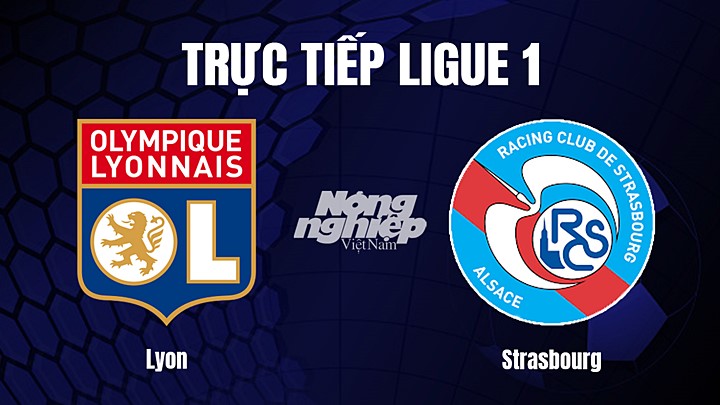 Trực tiếp bóng đá Ligue 1 (VĐQG Pháp) 2022/23 giữa Lyon vs Strasbourg hôm nay 15/1/2023