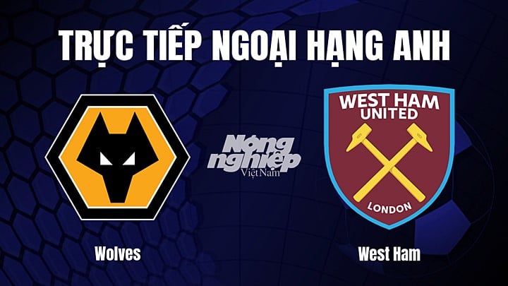 Trực tiếp bóng đá Ngoại hạng Anh giữa Wolves vs West Ham hôm nay 14/1/2023
