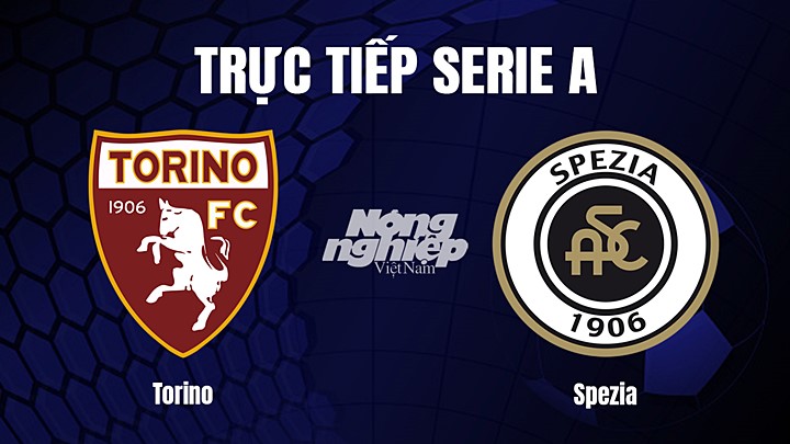 Trực tiếp bóng đá Serie A (VĐQG Italia) 2022/23 giữa Torino vs Spezia hôm nay 15/1/2023