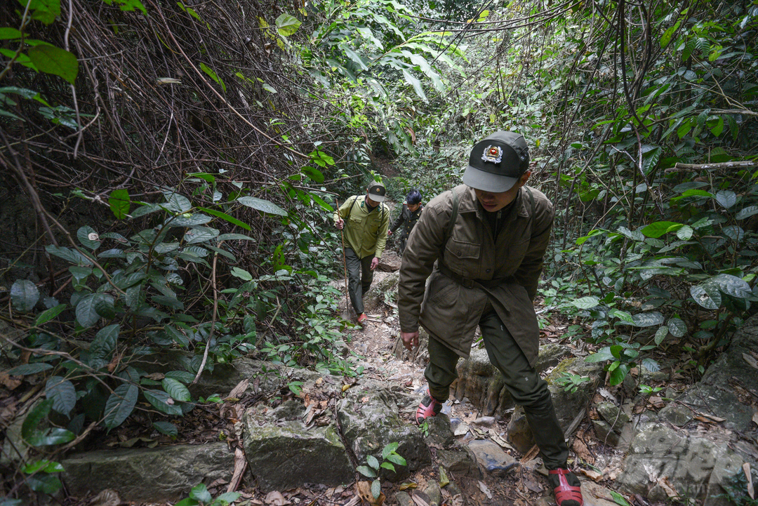 Cán bộ kiểm lâm Vườn Quốc gia Cúc Phương băng rừng đi tuần tra trong những ngày cận Tết đầy giá rét. Ảnh: Tùng Đinh.