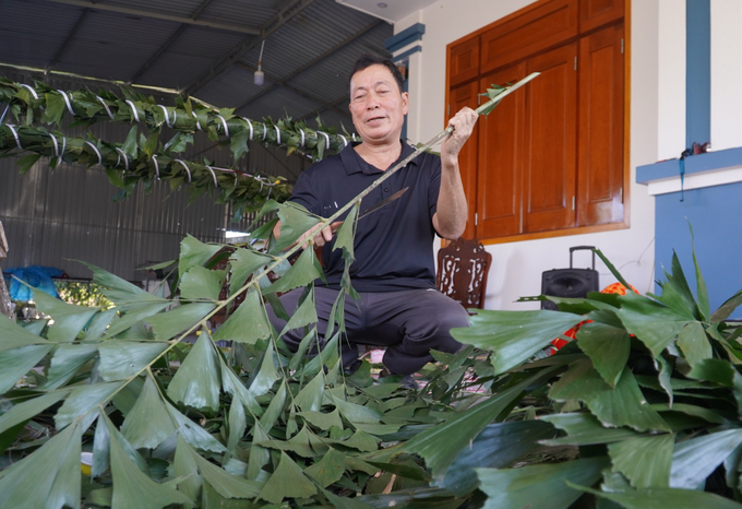 Phần lá đủng đỉnh để trang trí trên cây tre được mua ở huyện miền núi Hương Khê (Hà Tĩnh). Loại cây này mọc tự nhiên trong rừng, được người dân miền núi bán với giá 50.000 đồng/bó có 10 cành. Khi mua về sẽ cắt phần lá lấy nhánh nhỏ, bỏ nhánh to.