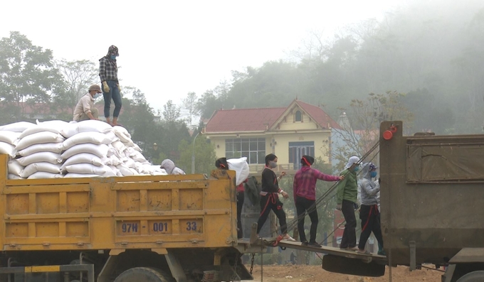 Vận chuyển gạo hỗ trợ người nghèo huyện Pác Nặm. Ảnh: Ngọc Tú. 