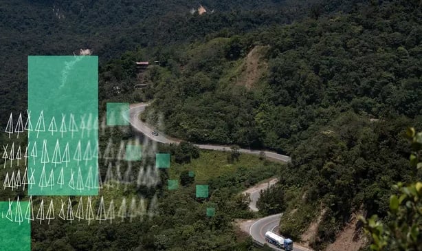 The Alto Mayo protection forest in Moyobamba, Peru, was supposed to be a flagship offsetting project but has faced human rights issues. Composite: Guardian Design/AFP