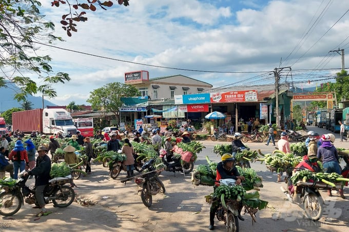 Chợ Tân Long là chợ chuối mật mốc lớn nhất của tỉnh Quảng Trị.