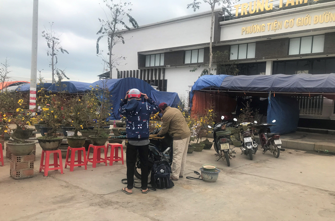 Mai Tết không còn người mua, người bán mai lẻ ở phường Bình Định (thị xã An Nhơn, Bình Định) dọn dẹp đồ đưa mai về nhà.