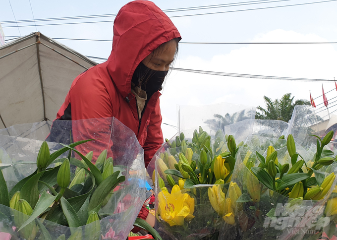 Theo quan sát của chúng tôi, chợ hoa Phố Châu đang tồn nhiều nhất là hoa đào, quất, hoa ly, hoa cúc.