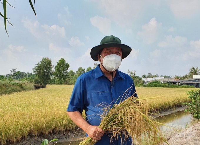 Ông Đỗ Minh Thắng, Chủ tịch UBND TX Giá Rai kiểm tra mô hình lúa tôm trên địa bàn. Ảnh: Trọng Linh.
