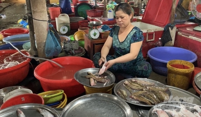 According to the majority of small traders selling all kinds of fish, they still keep the same price as usual.  Photo: Ho Thao.