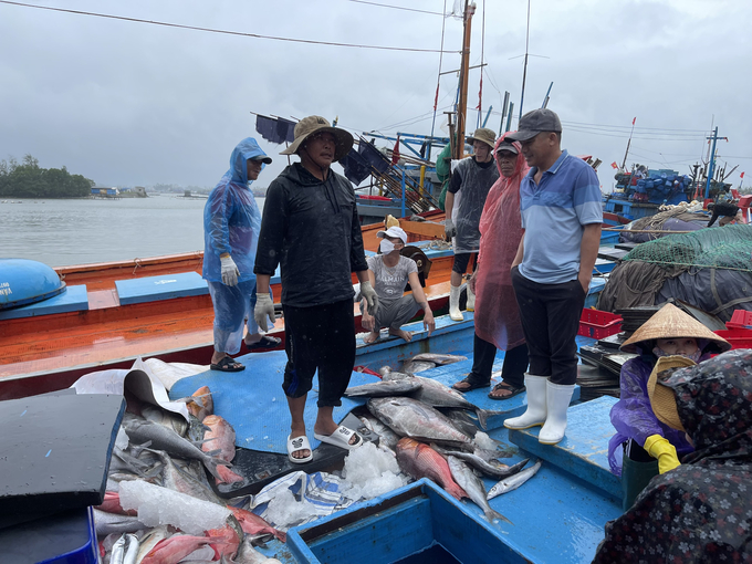 Những ngày cuối năm tại cảng biển Sa Kỳ (xã Bình Châu, huyện Bình Sơn, tỉnh Quảng Ngãi) vẫn còn rất nhộn nhịp. Ảnh: Đ.H.