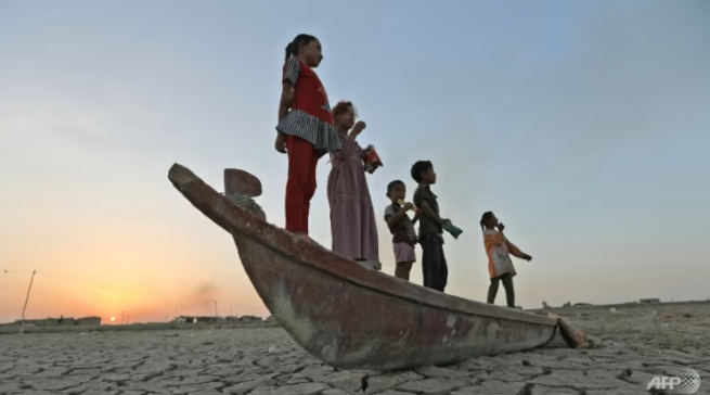 The reputed home of the biblical Garden of Eden, Iraq's swamplands have been battered by three years of drought. Photo: AFP